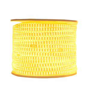 LED彩灯带2835-180D-220V-双直-金黄光/米 金黄光 米