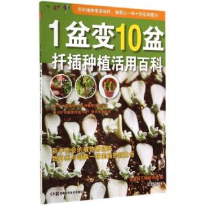 正版新书]1盆变10盆(扦插种植活用百科)梁群健9787535782816