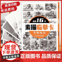 素描静物临摹卡 16开临摹范本单个静物结构与明暗静物组合精选绘画创意卡片初学者入门绘画学习临摹基础 一线美誉美术教程材书