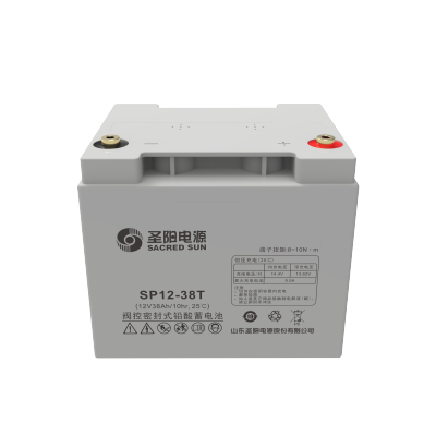 圣阳电源 蓄电池 SP12-38T 只