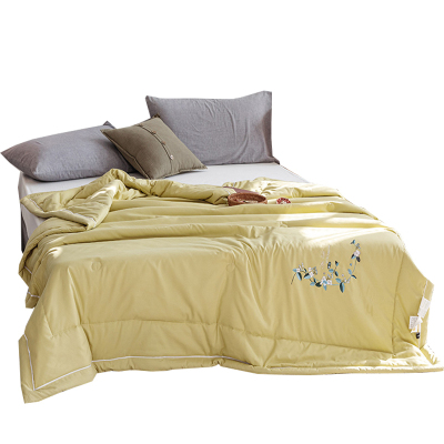 美帮汇小被子空调被夏凉被薄款夏季被子单人学生双人春秋被芯可机洗女生