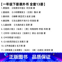 [全套13册-书目如图]一年级下册 [正版]花格子大象艾玛经典绘本英大卫麦基著精装硬壳一年级下册小学生必读课外书寒假阅读