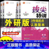 3册[外研版(3起)]英语+[人教版]数学+[人教版]语文 六年级下 [正版]2025春外研版三年级起点英语练习册小学拔