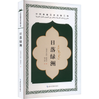 音像日落绿洲(埃及)巴哈·塔希尔