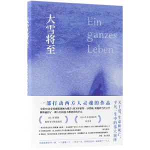 [M]大雪将至/罗伯特.泽塔勒的作品-9787544258197