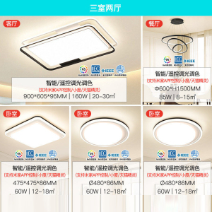 雷士照明全光谱吸顶灯现代简约灯具卧室灯客厅灯全屋套餐组合灯具套餐
