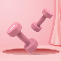 劳拉之星3052健身小哑铃健身家用塑形手臂浸塑六角哑铃男女儿童 1KG J两只装 均码