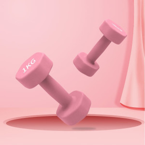 劳拉之星3052健身小哑铃健身家用塑形手臂浸塑六角哑铃男女儿童 1KG J两只装 均码