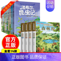 [全套14册]昆虫记+森林报 [正版]法布尔昆虫记 全10册注音版小学生阅读书籍一二三年级课外书阅读 幼儿绘本7-8-