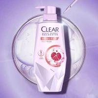 清扬肌活洗发水控油去屑洗发露蓬松发根水润头皮生姜固发 润养蓬松 480g/瓶