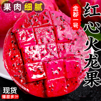 [西沛生鲜]海南金都一号红心火龙果 净重4.5斤 小果 12-17个