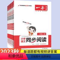 [语文同步阅读] 一年级上 [正版]2023秋 一本语文同步阅读训练一年级二年级三年级四年级六五年级上册分级阶梯阅读理解