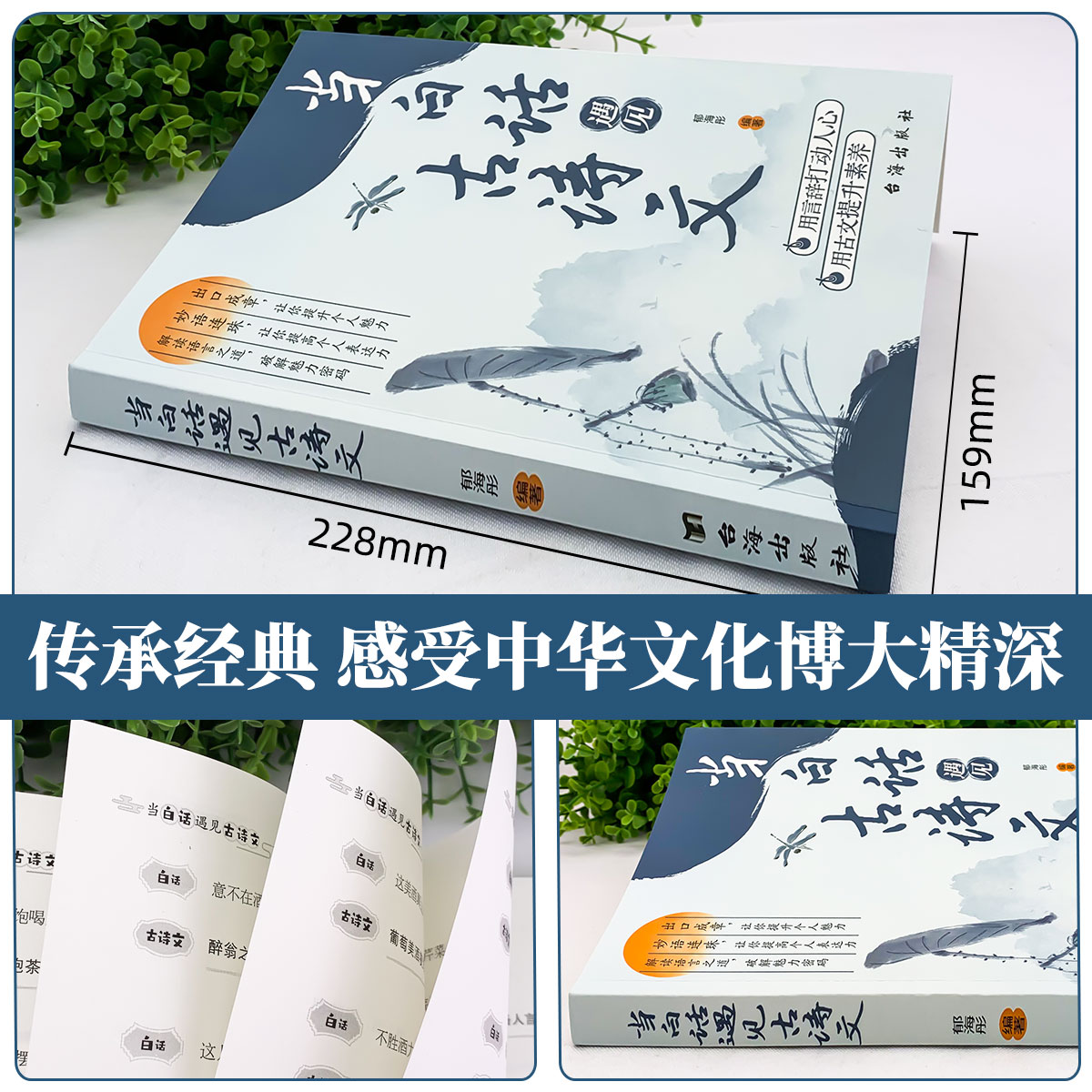 [7册-推荐]白话遇见古诗文+浪漫古典行 [正版]抖音同款当白话遇见古诗文书籍全套2册 腹有诗书气自华 当白话文遇上
