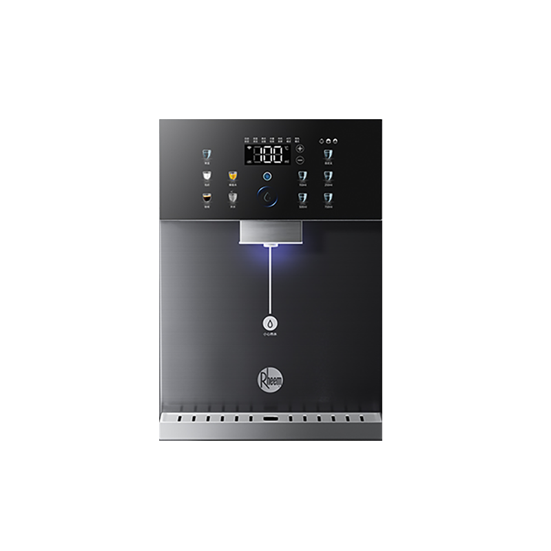 美国百年品牌 瑞美壁挂管线机RMGX-25CB-H1