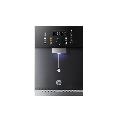 美国百年品牌 瑞美壁挂管线机RMGX-25CB-H1