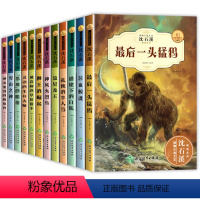 动物小说第一辑+第二辑(12册) [正版]全套沈石溪动物小说大王全集十大经典必读小学生三四至五六年级课外书必读老师的作品