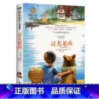 灵犬莱西 [正版]灵犬莱西图书 国际大奖儿童文学美绘典藏版 9-10-12岁小学生课外阅读书籍 三四五六年级阅读课外书阅