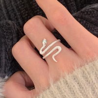 本命年纯银生肖蛇戒指不掉色食指戒2025年小众灵蛇指环饰品女送女朋友老婆情人节七夕生日礼物