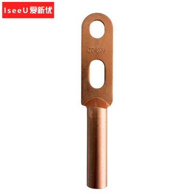 爱新优 双孔接线铜端子 DT-25S 个