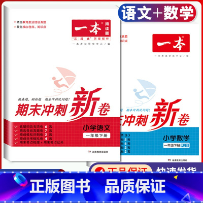 1年级下册 语文+数学 期末冲刺新卷 小学通用 [正版]小学期末冲刺新卷语文数学一年级二年级三年级上册下册四五六年级人教