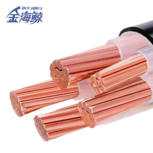 金海鲸 阻燃电缆ZCYJV5×10 米