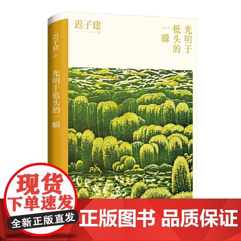 光明于低头的一瞬(迟子建散文系列)