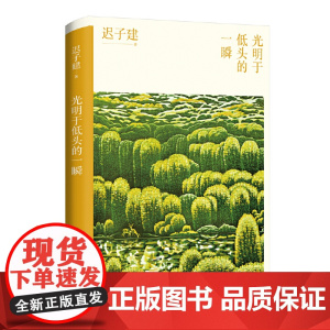 光明于低头的一瞬(迟子建散文系列)