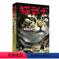 首部曲-5险路惊魂 [正版]猫武士全套42册 第一二三四五六七部曲全套 传奇的猫族儿童中小学生动物小说小学生课外阅读书籍