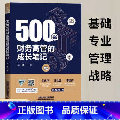 [正版]2023新书500强财务高管的成长笔记 王渊 一本小说体例的财务职场进阶书 从财务基础到进阶到财务管理 铁道出