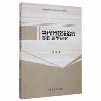 音像当代行政法治的实践转型研究杨峰著