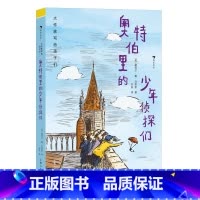 第2级:奥特伯里的少年侦探们 [正版]大作家写给孩子们任选 7-10岁儿童文学课外分级阅读参考书目 小红马普希金堂吉诃德