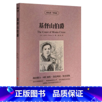 [正版] 读名著学英语 基督山伯爵全集 中英文对照 双语读物 世界名著英汉对照青少年版提高英文阅读能力 书籍