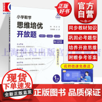 小学数学思维培优开放题一年级下册 彭林上海教育出版社