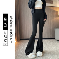 微喇鲨鱼裤女新款春秋季外穿打底裤高腰显瘦芭比瑜伽喇叭裤子