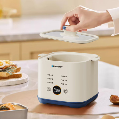 BLAUPUNKT 德国蓝宝电蒸笼多功能电蒸锅可视蒸箱大容量包子锅煮蛋器 家用定时 0.9L 溏心蛋煮蛋器BP-ZD09