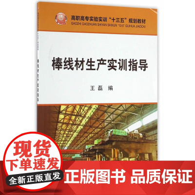 棒线材生产实训指导