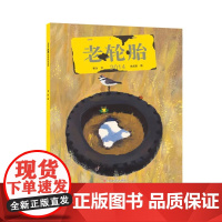 老轮胎