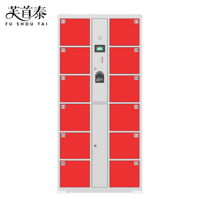 芙首泰智能储物柜指纹密码12门850*460*1800mm台