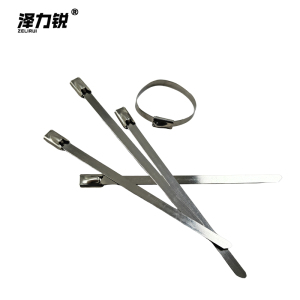 泽力锐 不锈钢扎带 7.9x600mm 根