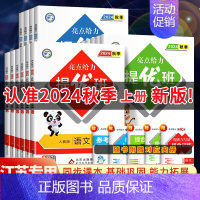 语文•人教版 四年级下 [正版]2024秋亮点给力提优班多维互动空间二年级下册三年级语文数学人教四年级下册五六上册英语苏