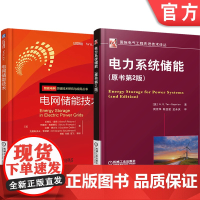 正版套装 电网储能技术系列 电力系统储能+电网储能技术 (全2册)