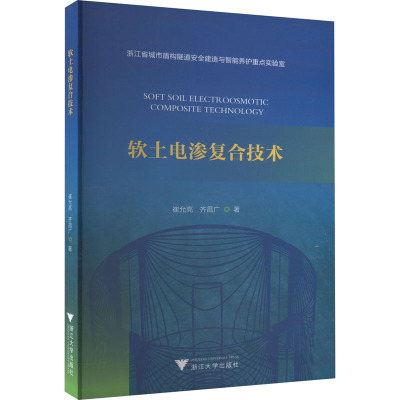软土电渗复合技术