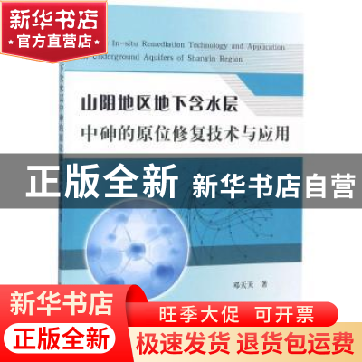 正版 山阴地区地下含水层中砷的原位修复技术与应用 邓天天著 黄