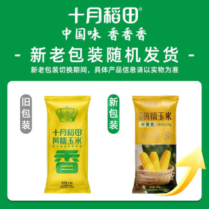 十月稻田 每日黄糯玉米220g