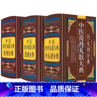 [正版]中医膏丹丸散大典全3册丹丸剂膏剂散剂分典中医方剂学药物组成制作方法临床用法功效主治中成药方验方名方名著中药配方大