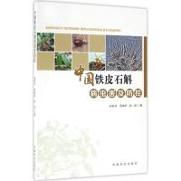 正版新书]中国铁皮石斛病虫害及防控赵桂华,蒋继宏,赵楠 著 著97