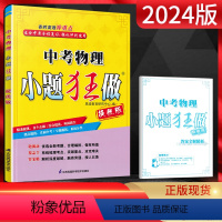 物理 全国通用 [正版]2024版小题狂做提优版中考物理 初三九年级辅导资料练习册中考强化冲刺专项专题突破训练 中考物理