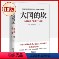 [正版]大国的坎 金海年等著 如何破解卡脖子难题 李毅中作序 技术资源规则交通与数字平台卡脖子 中译出版