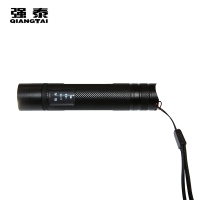 强泰微型防爆电筒 带屛手电筒QT-7030
