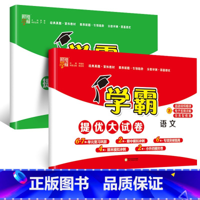 语文+数学(北师大) 三年级下 [正版]2024春新经纶小学学霸提优大试卷一年级下册二四五六三年级上册语文人教数学苏教英
